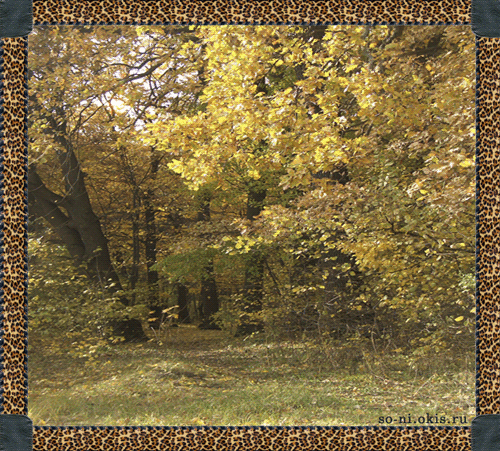 Анимация осенний лес, падающие листья