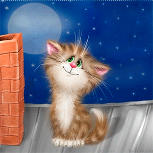 Анимашка котика на крыше